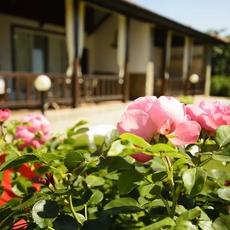 Yanevi Villa Lozenets