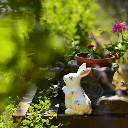 Villa Yanevi Lozenets